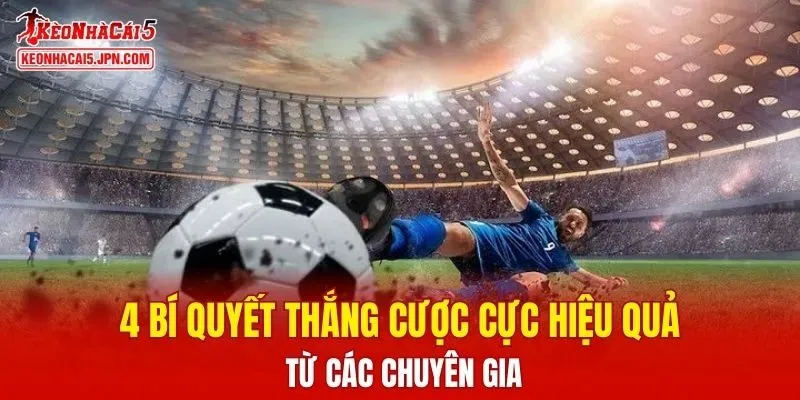 4 bí quyết thắng cược cực hiệu quả từ các chuyên gia
