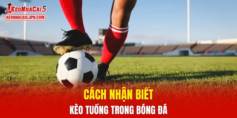 Cách để nhận biết kèo tuồng là gì?
