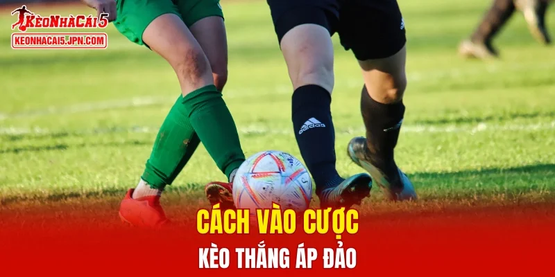 Cách vào cược thắng áp đảo là gì chi tiết nhất?