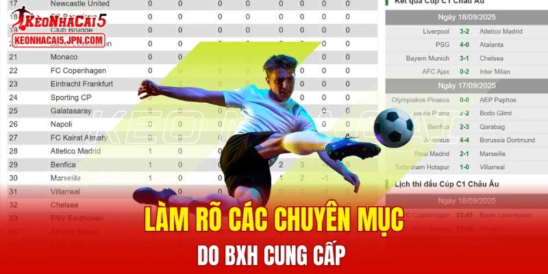 Danh mục hiện đang cung cấp những nội dung nào?