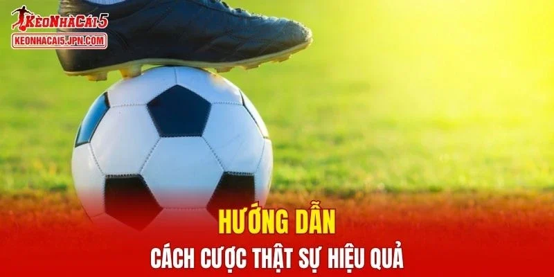 Hướng dẫn cách cược kèo draw no bet