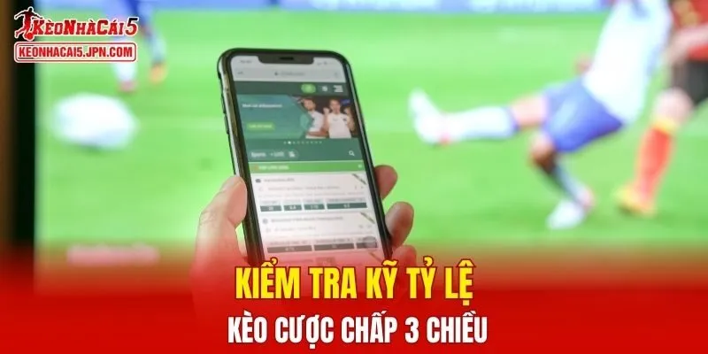 Kiểm tra kỹ tỷ lệ kèo cược chấp 3 chiều