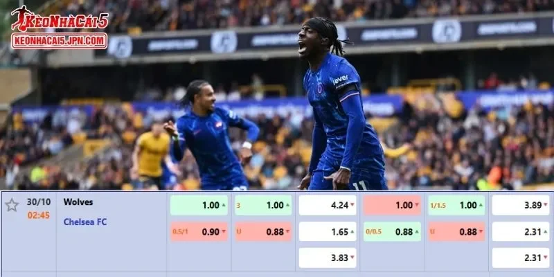 Soi kèo chi tiết nhất cho trận đấu giữa Wolves vs Chelsea