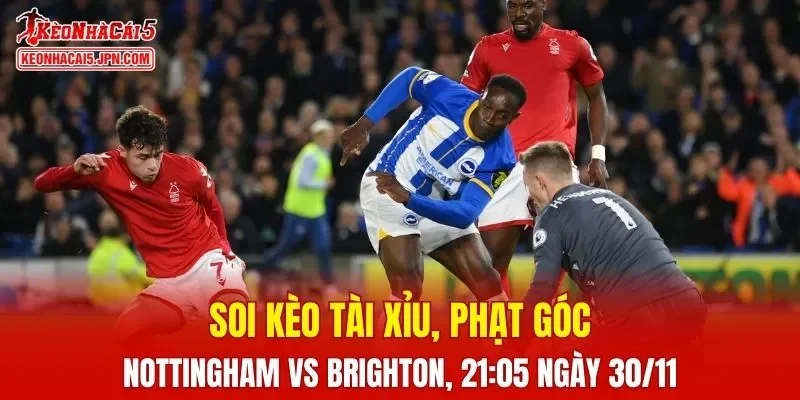Cuộc đấu giữa Nottingham Forest và Brighton đang hứa hẹn nhiều điều thú vị