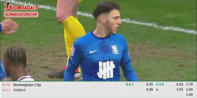 Phân tích kèo toàn diện nhất cho trận đấu Birmingham City vs Watford