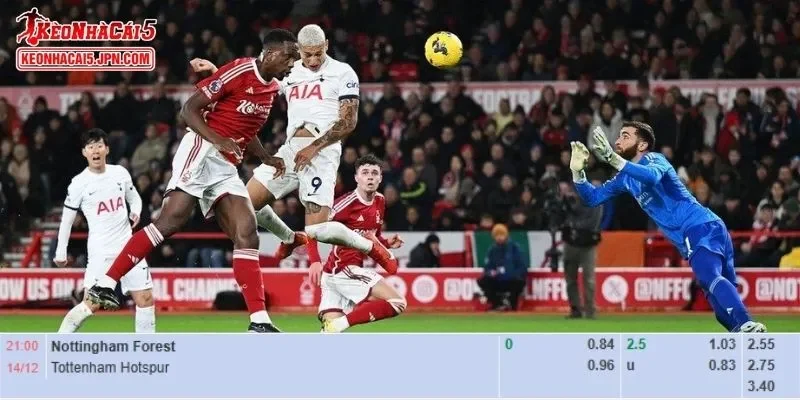 Soi kèo chi tiết nhất cho trận đấu giữa Nottingham Forest vs Tottenham