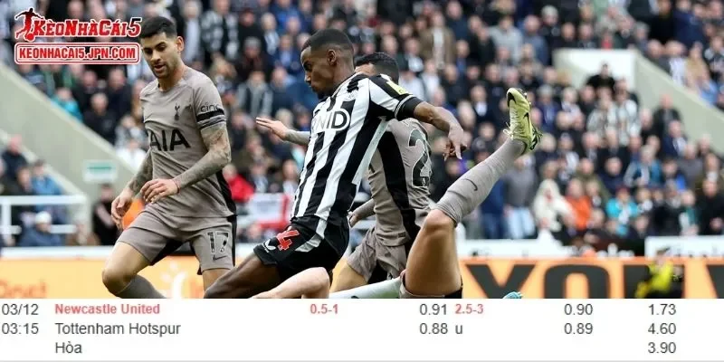 Tỷ lệ kèo chi tiết của cuộc đấu Newcastle vs Tottenham