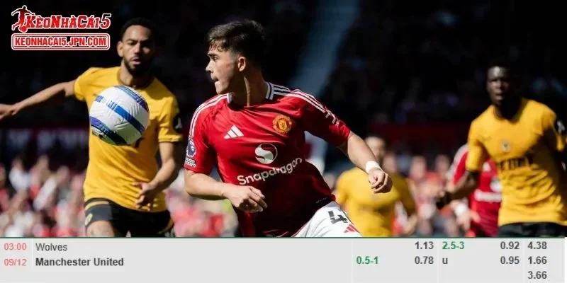 Tỷ lệ kèo chi tiết của trận Wolves vs Man United
