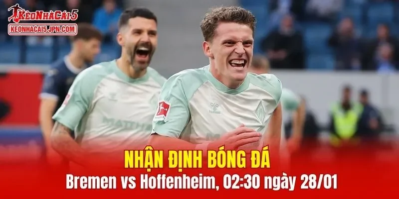 Cuộc đối đầu Bremen vs Hoffenheim đang thu hút sự chú ý đáng kể của người hâm mộ 