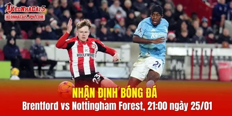 Cuộc so tài giữa Brentford vs Nottingham Forest hứa hẹn mang tới những phút giây căng thẳng