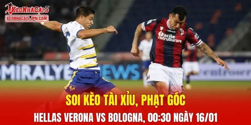 Trận đấu giữa Hellas Verona và Bologna đang hứa hẹn sẽ bùng nổ