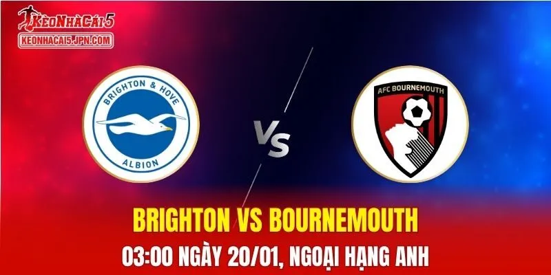Nhận Định, Soi Kèo Bóng Đá Brighton vs Bournemouth 03:00 Ngày 20/01: Chủ Nhà Vượt Trội