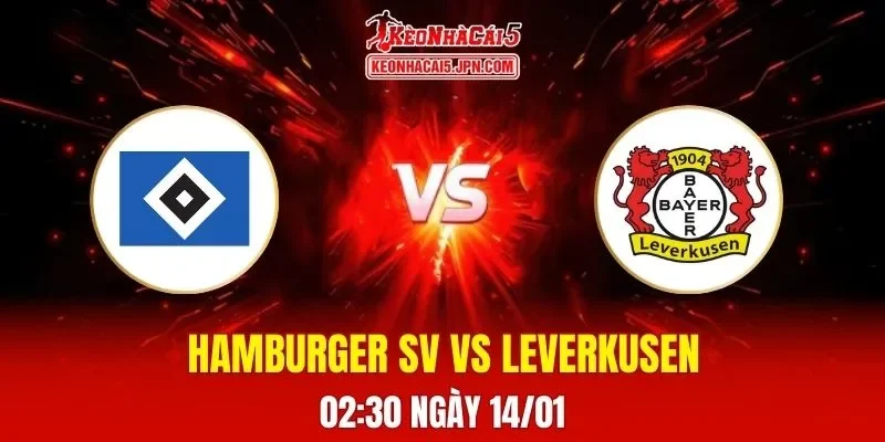 Soi Kèo Tài Xỉu, Phạt Góc Trận Hamburger SV Vs Leverkusen, 02h30 Ngày 14/01