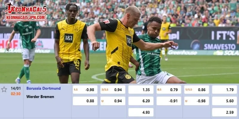 Tỷ lệ cược chi tiết nhất dành cho trận Dortmund vs Bremen