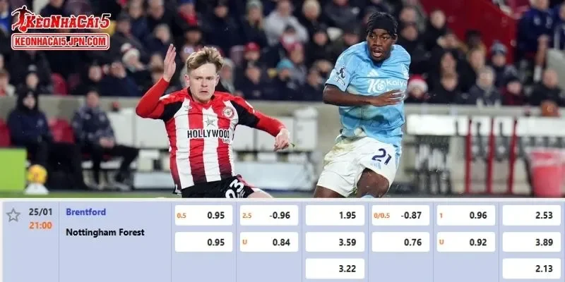 Tỷ lệ kèo chi tiết nhất cho trận đấu giữa Brentford vs Nottingham Forest