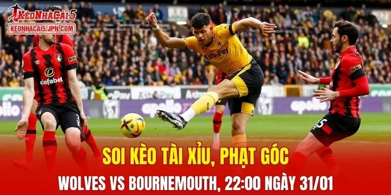 Cuộc chạm trán giữa Wolves và Bournemouth hứa hẹn nhiều kịch tính