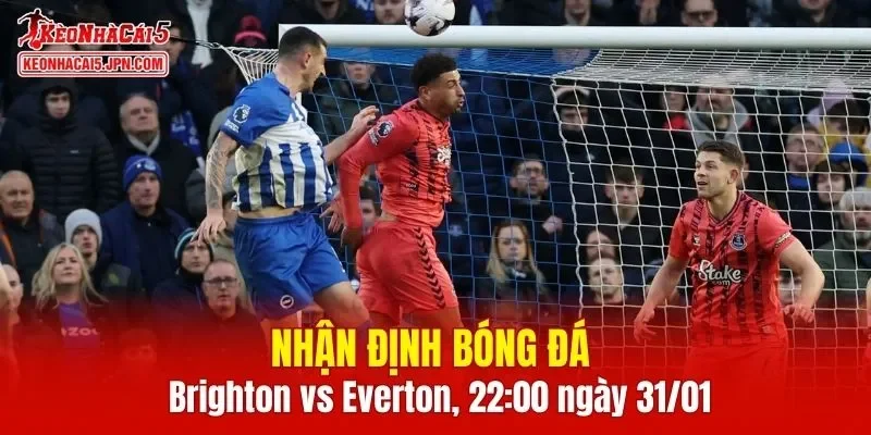 Cuộc đối đầu Brighton vs Everton hứa hẹn mang tới những phút giây hấp dẫn
