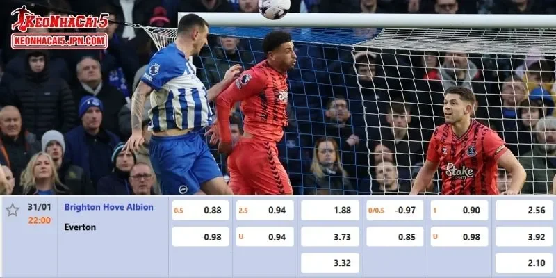 Tỷ lệ kèo chi tiết nhất cho trận đấu giữa Brighton vs Everton 
