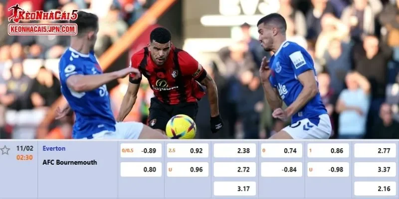 Tỷ lệ kèo chi tiết nhất cho trận đấu giữa Everton vs Bournemouth