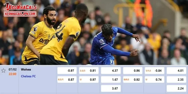 Tỷ lệ kèo chi tiết nhất cho trận đấu giữa Wolves vs Chelsea