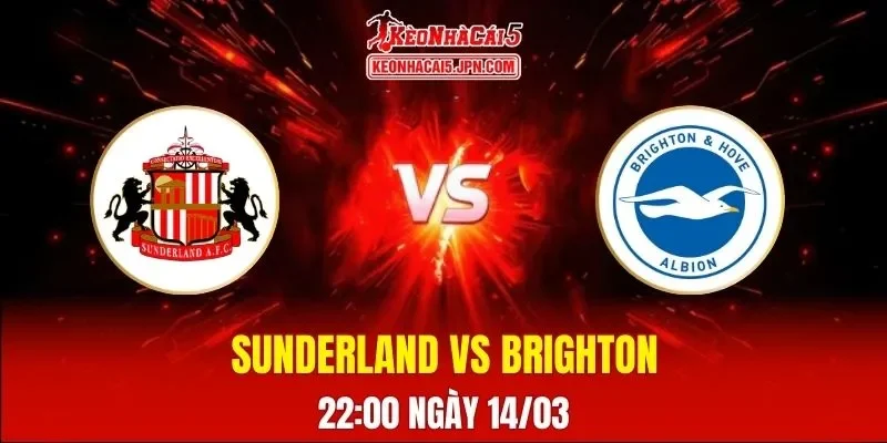 Soi Kèo Tài Xỉu, Phạt Góc Trận Sunderland Vs Brighton, 22h00 Ngày 14/03