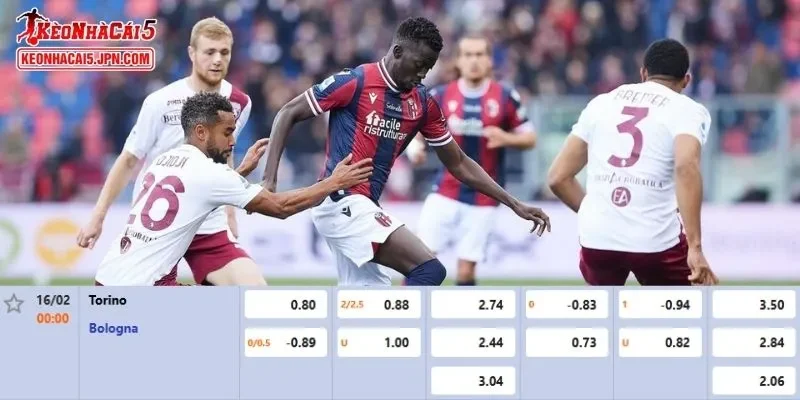 Tỷ lệ kèo chi tiết của của trận Torino vs Bologna