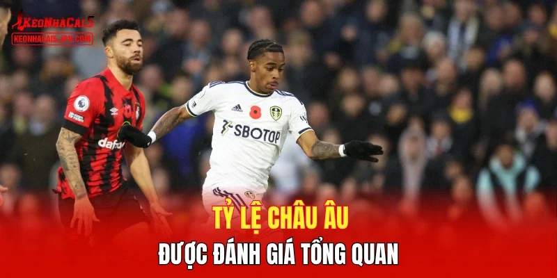 Tỷ lệ châu Âu được đánh giá tổng quan