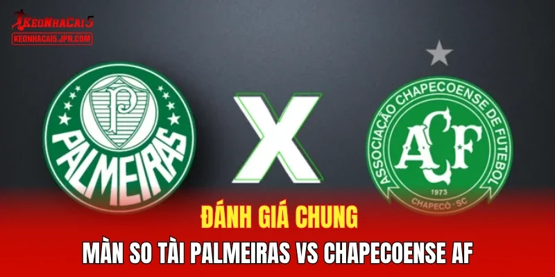 Đánh giá chung màn so tài Palmeiras vs Chapecoense AF 