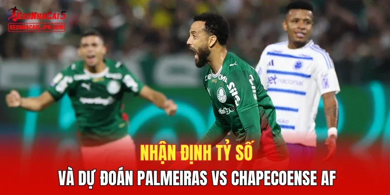 Nhận định tỷ số và dự đoán Palmeiras vs Chapecoense AF 